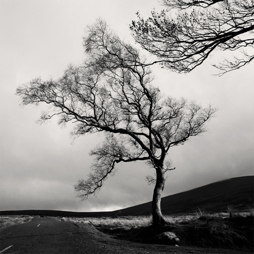Sally Gap, Wicklow Mountains, Ireland Sally Gap, Wicklow Mountains, Ireland